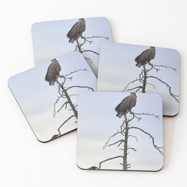 Item preview, The King and Lackey. White-tailed eagle and raven designed and sold by Jouko Lehto Photography.