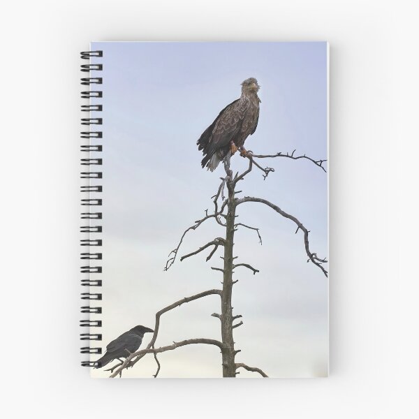 Item preview, The King and Lackey. White-tailed eagle and raven designed and sold by Jouko Lehto Photography.