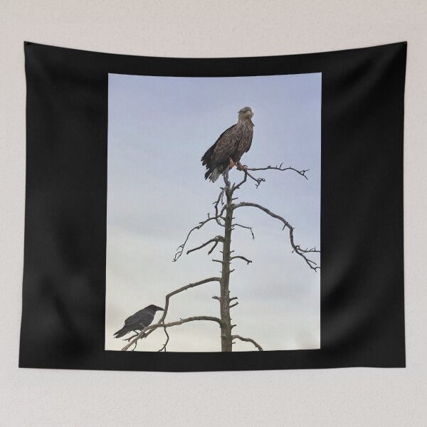 Item preview, The King and Lackey. White-tailed eagle and raven designed and sold by Jouko Lehto Photography.