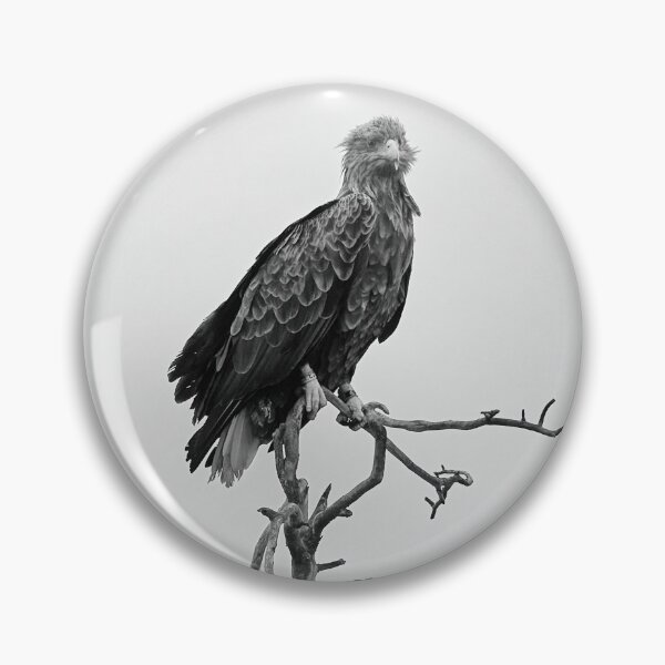 Item preview, The King and Lackey. White-tailed eagle and raven bw designed and sold by Jouko Lehto Photography.