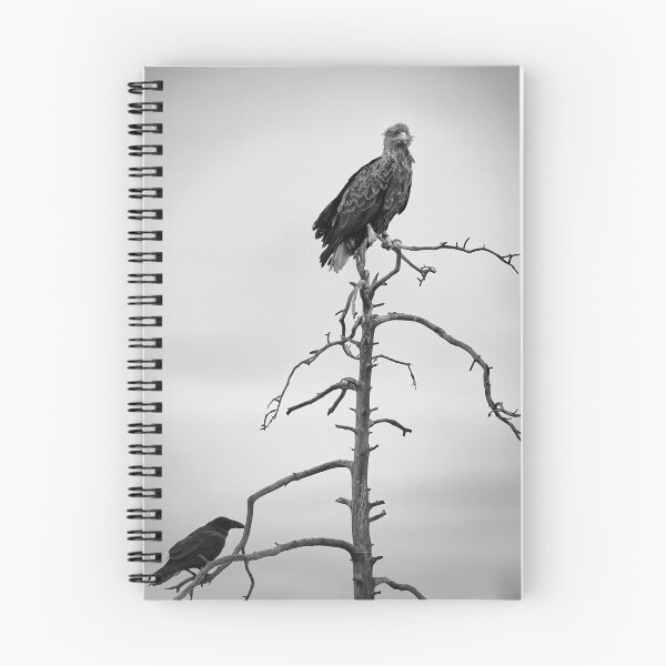 Item preview, The King and Lackey. White-tailed eagle and raven bw designed and sold by Jouko Lehto Photography.
