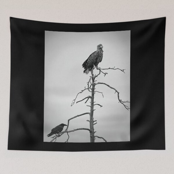 Item preview, The King and Lackey. White-tailed eagle and raven bw designed and sold by Jouko Lehto Photography.