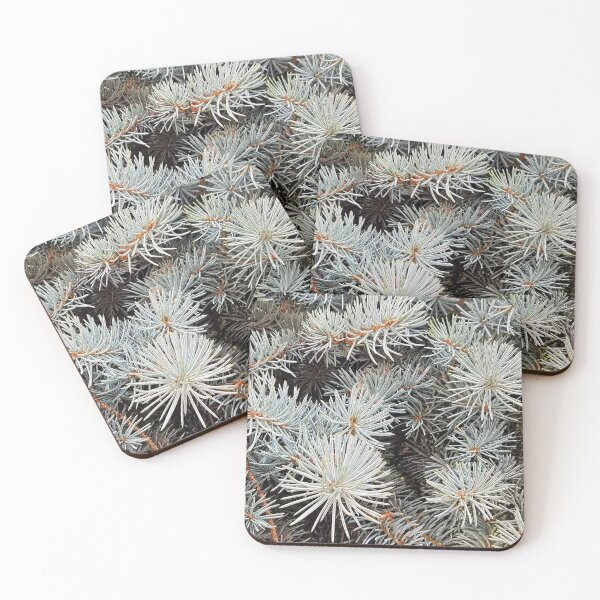 Item preview, White Spruce  designed and sold by DesignMore21.