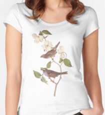 Audubon White Throated Sparrow Women's Fitted Scoop T-Shirt