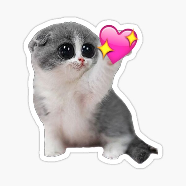 Cat Heart Emoji Stickers Redbubble