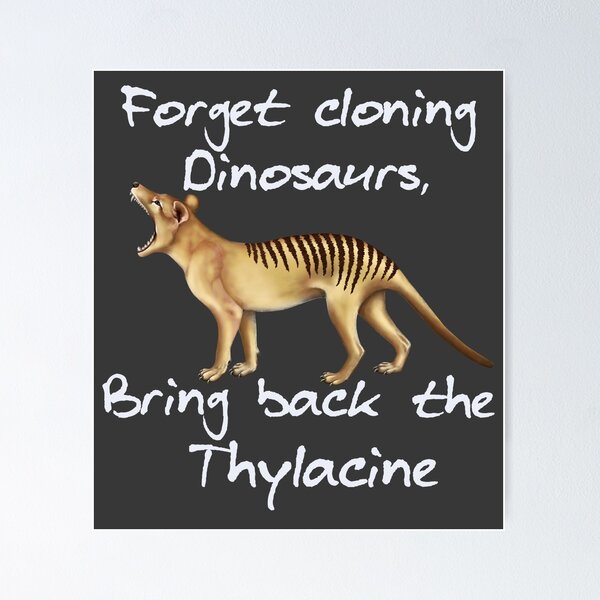 Item preview, Forget Cloning Dinosaurs, Bring Back the Thylacine - white writing designed and sold by Kestrelle.