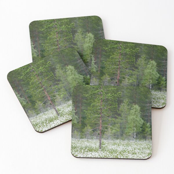 Item preview, Hare's-tail cottongrass fields designed and sold by Jouko Lehto Photography.