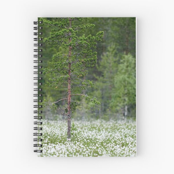 Item preview, Hare's-tail cottongrass fields designed and sold by Jouko Lehto Photography.