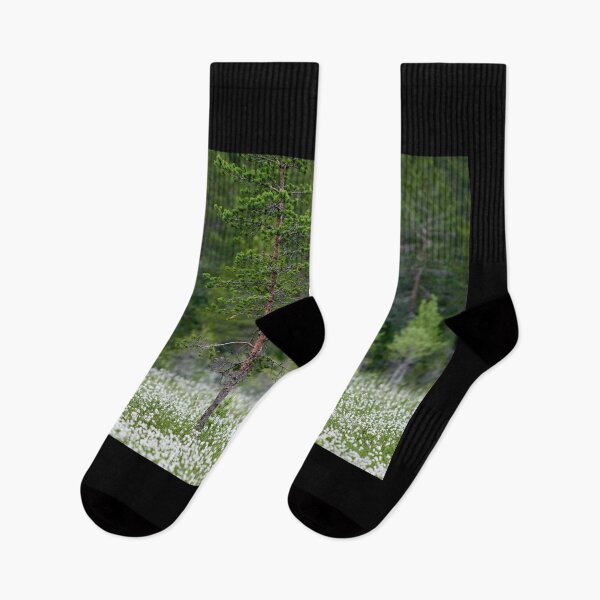 Item preview, Hare's-tail cottongrass fields designed and sold by Jouko Lehto Photography.