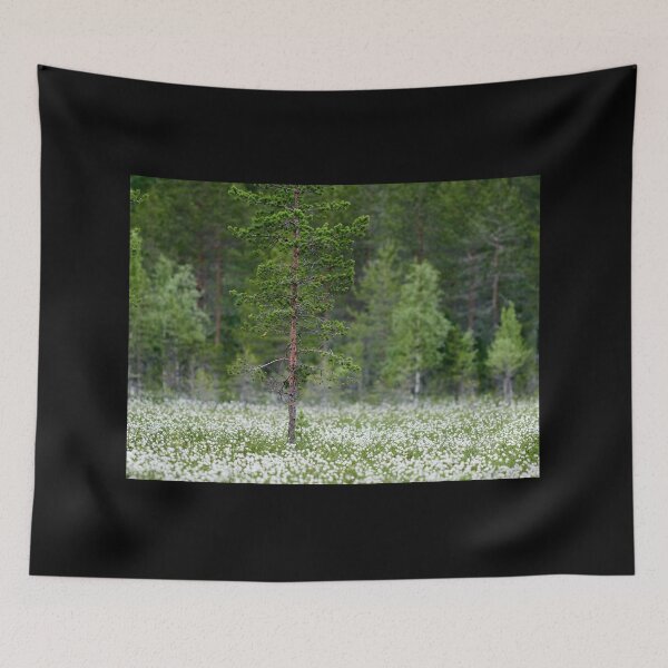 Item preview, Hare's-tail cottongrass fields designed and sold by Jouko Lehto Photography.