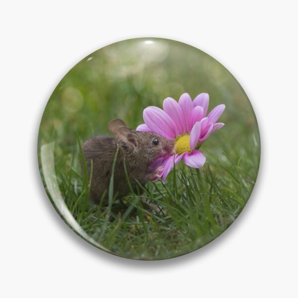 Item preview, Mouse smelling flower - funny, cute wildlife photography designed and sold by Kipcio.