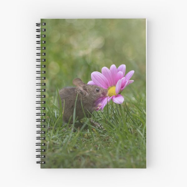 Item preview, Mouse smelling flower - funny, cute wildlife photography designed and sold by Kipcio.