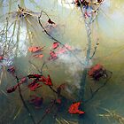 «Delirios de grandeza» de Kitsmumma