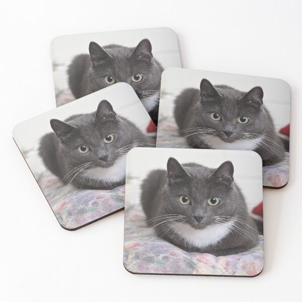 Item preview, Grey cat designed and sold by Mikko  Suhonen.