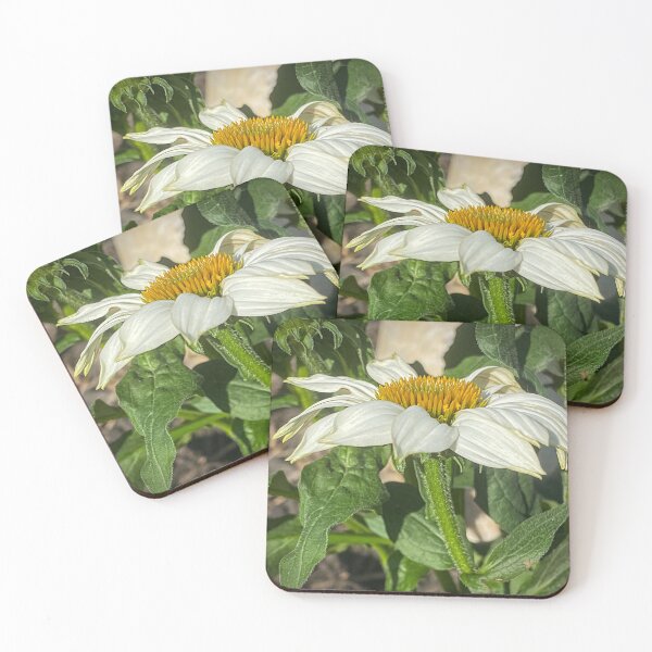 Item preview, Coneflower recién inaugurado por Debra Martz designed and sold by Debra Martz.