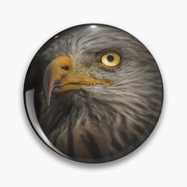 Item preview, eagle from a bird observatory designed and sold by OskiOnTour.