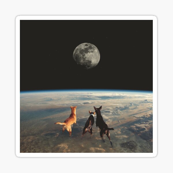 Dogs chasing the moon Sticker