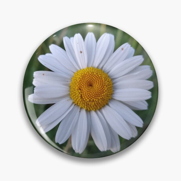 Item preview, Oxeye Daisy designed and sold by Mahoni-photo.