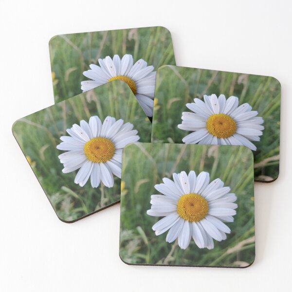 Item preview, Oxeye Daisy designed and sold by Mahoni-photo.