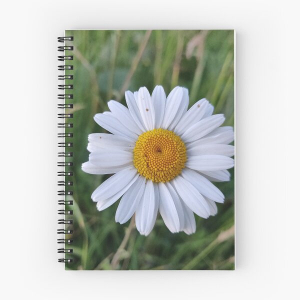 Item preview, Oxeye Daisy designed and sold by Mahoni-photo.