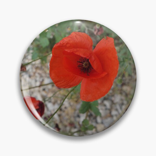 Item preview, the last of the poppies designed and sold by distracted.