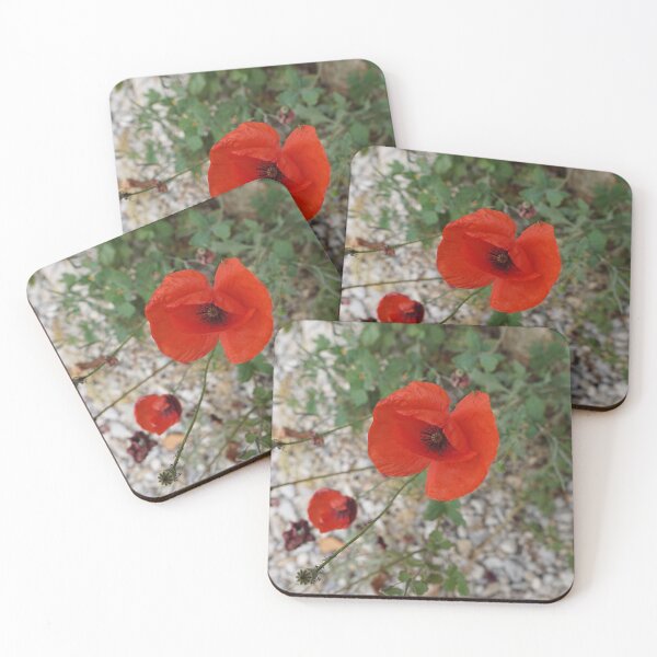 Item preview, the last of the poppies designed and sold by distracted.