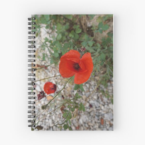 Item preview, the last of the poppies designed and sold by distracted.