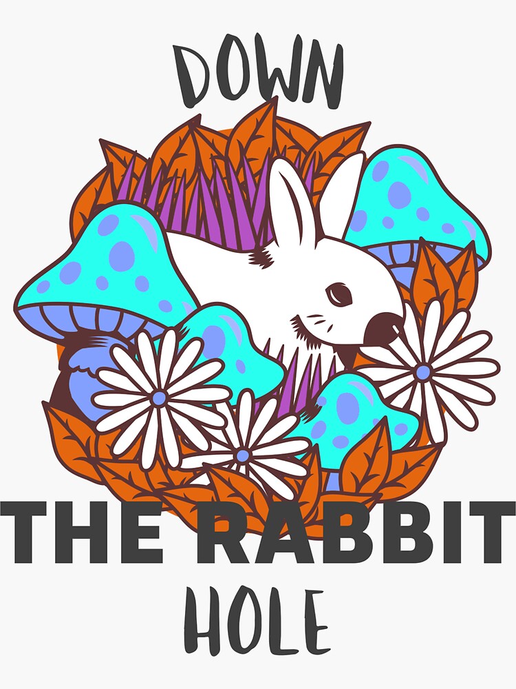 "Down The Rabbit Hole Design" Sticker for Sale by KayleeNel Redbubble