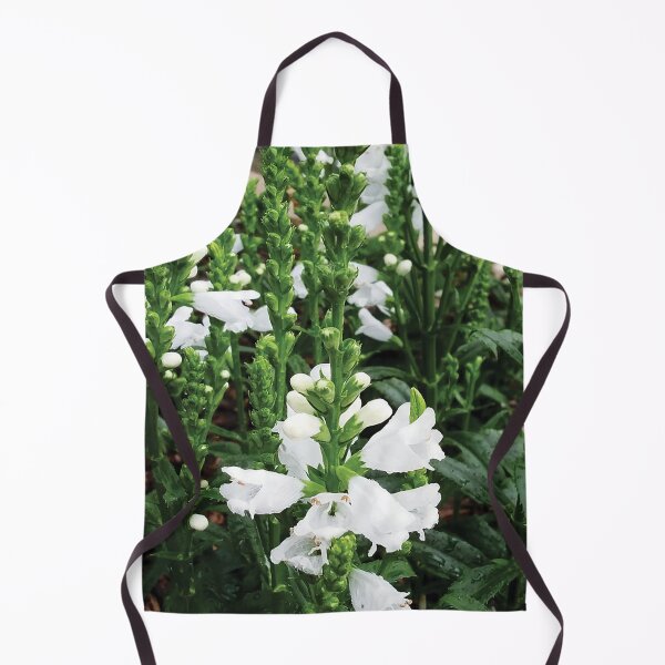 Item preview, Bellflower designed and sold by A H GINARTE.