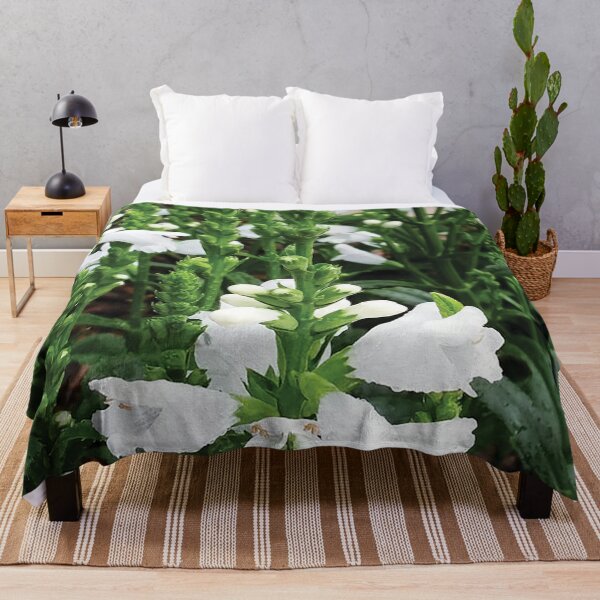 Item preview, Bellflower designed and sold by A H GINARTE.