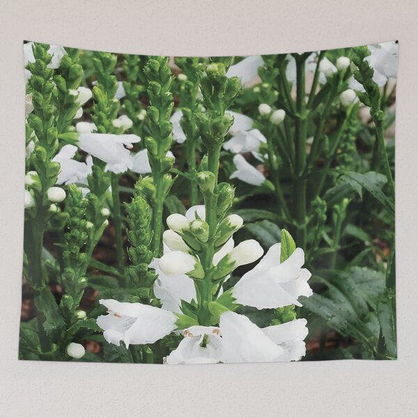 Item preview, Bellflower designed and sold by A H GINARTE.
