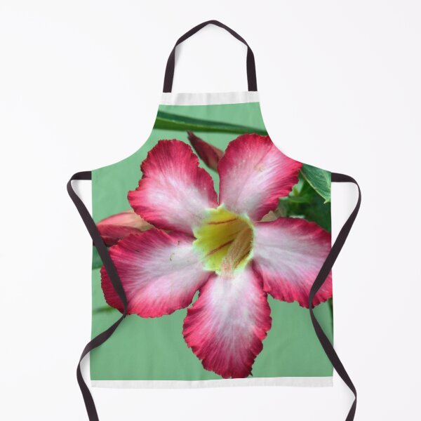Item preview, Adenium obesum/Desert rose designed and sold by VeenaNair23.