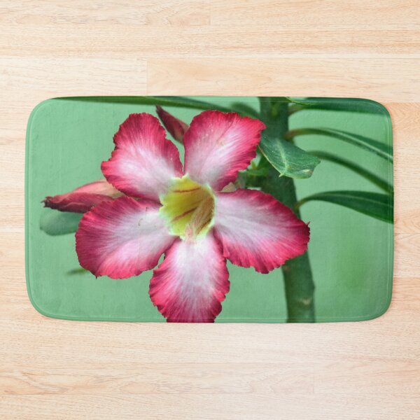 Item preview, Adenium obesum/Desert rose designed and sold by VeenaNair23.