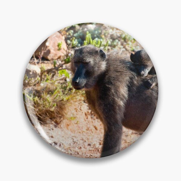 Item preview, Chacma baboons designed and sold by troianifabrizio.