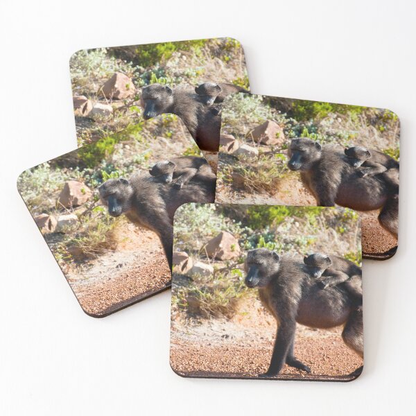 Item preview, Chacma baboons designed and sold by troianifabrizio.
