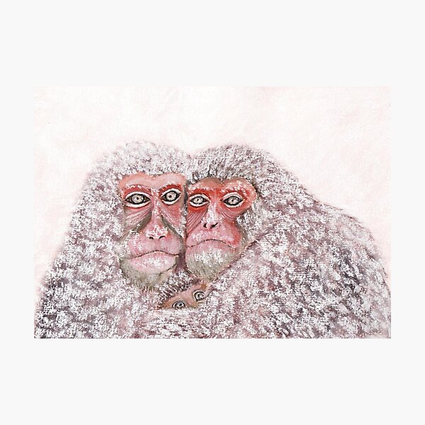 Let's Stick Together! Photographic Print