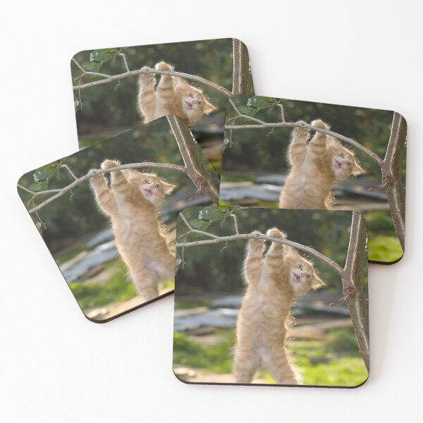 Item preview, Cat Hang In There Poster designed and sold by imagepirre.