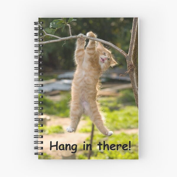 Item preview, Cat Hang In There Poster designed and sold by imagepirre.