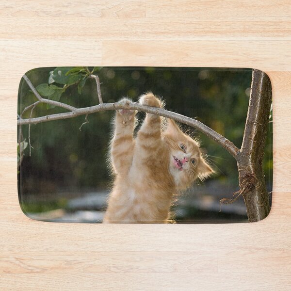 Item preview, Cat Hang In There Poster designed and sold by imagepirre.