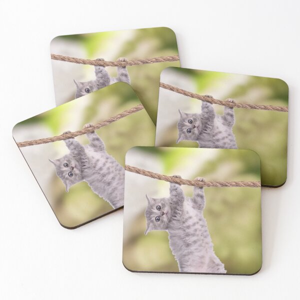 Item preview, Baby Cat Hang In There Poster designed and sold by imagepirre.
