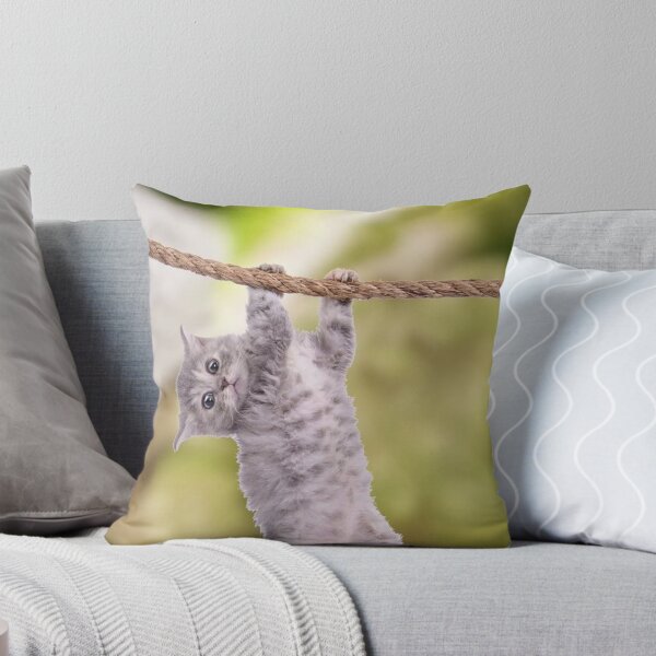 Item preview, Baby Cat Hang In There Poster designed and sold by imagepirre.