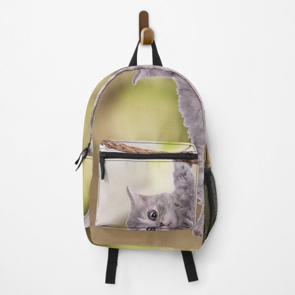 Item preview, Baby Cat Hang In There Poster designed and sold by imagepirre.