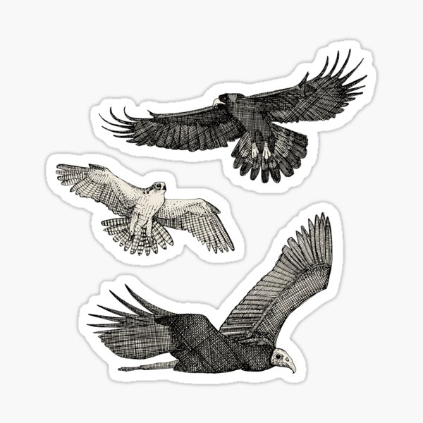 Item preview, birds of prey black designed and sold by scrummy.