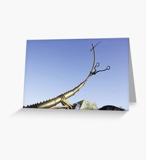 Winnipeg Forks Constellation Guide Greeting Card