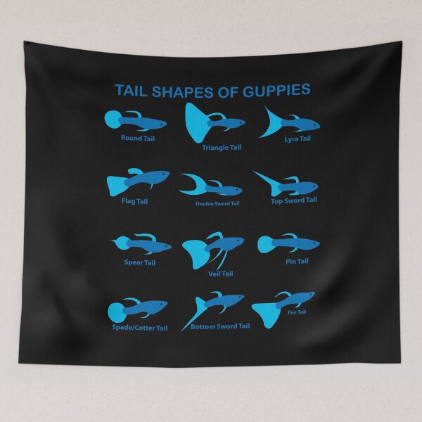 Item preview, Guppy Guppies Guppys Tail Shapes Breeds Sorts Aquarium Fish designed and sold by TheAplus.