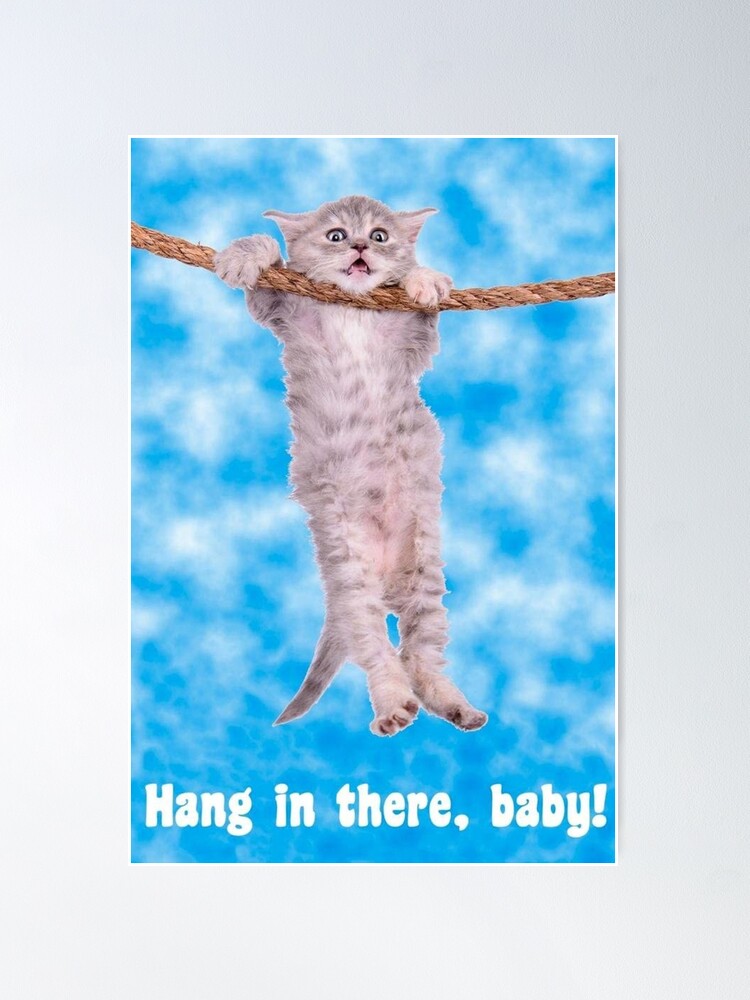 HANG IN THERE CAT GLOSSY POSTER PICTURE PHOTO BANNER PRINT baby funny meme  6541