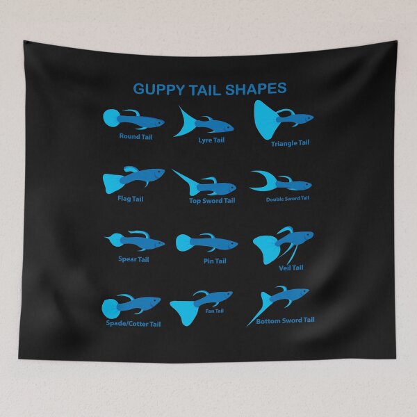 Item preview, Guppy Guppies Guppys Tail Shapes Breeds Aquarium Fish designed and sold by TheAplus.