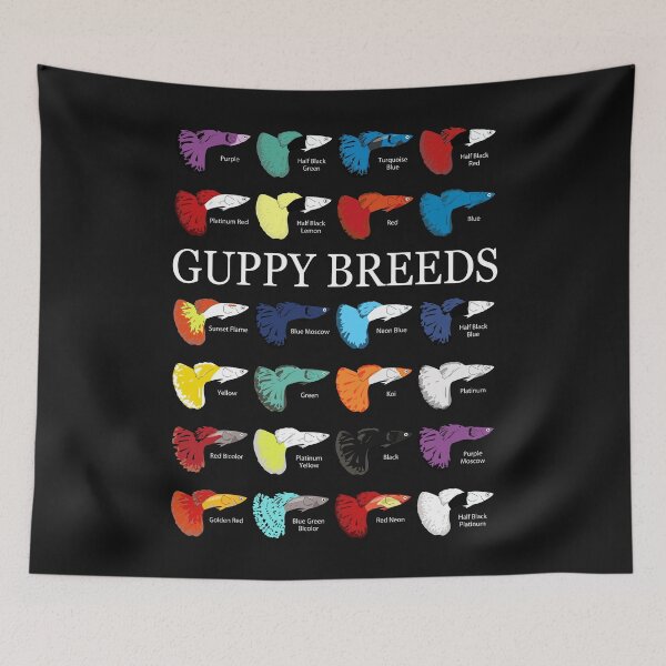 Item preview, Guppy Guppys Guppies Breeds Sorts Strains Poecilia Aquarium Fish designed and sold by TheAplus.