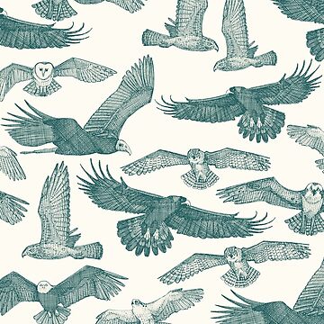 Artwork thumbnail, birds of prey jade by scrummy