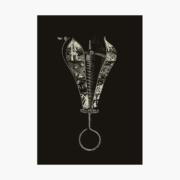 pear of earthly delights Photographic Print